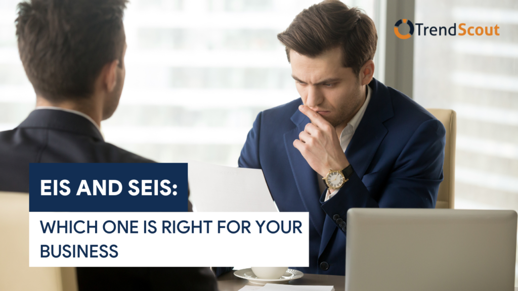 EIS and SEIS which one is right for your business featured image
