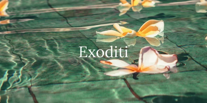 exoditi-landing-page-image